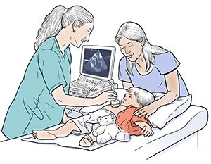 Your Child's Echocardiogram