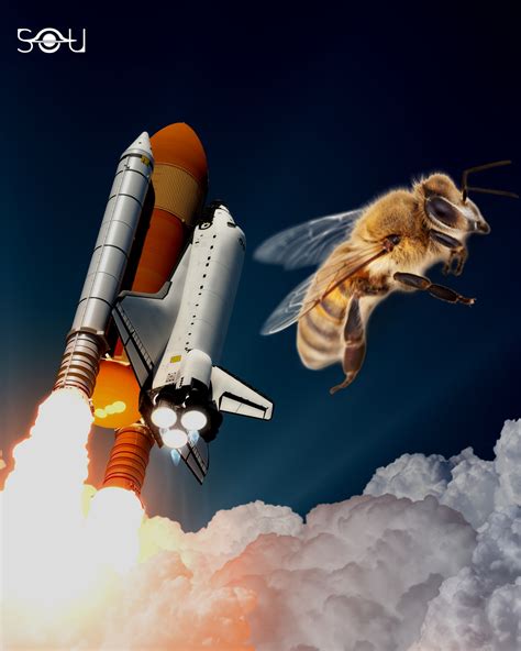 Strange things happened to honeybees sent into space! | space | Strange ...