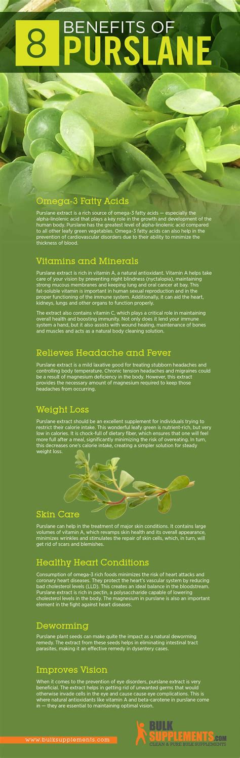 Purslane (Portulaca Oleracea) Benefits & Dosage