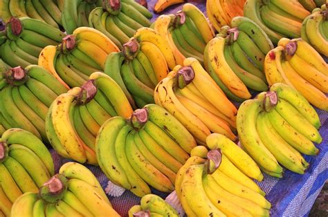 Bananas! - tasteofthailand.org