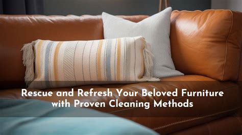 A Guide to Cleaning and Maintaining Your Leather Sofa – France & Son