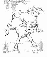 Goat Coloring Pages sketch template