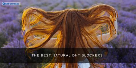 12 Best Natural DHT Blockers (2023 Update) – DrFormulas