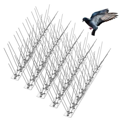 Buy Bird Spikes for Pigeons Small Birds Cat, Anti Bird Spikes Stainless ...