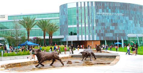 INTO University of South Florida (Tampa, Florida, USA)