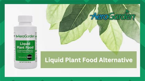 5 Best AeroGarden Liquid Plant Food Alternatives - Farmer Grows