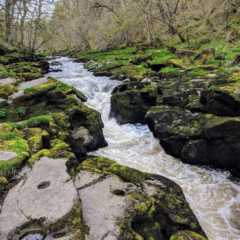 Midwestern Mindset: The Strid, Bolton Abbey, Skipton. Supposedly the most dangerous stretch of ...