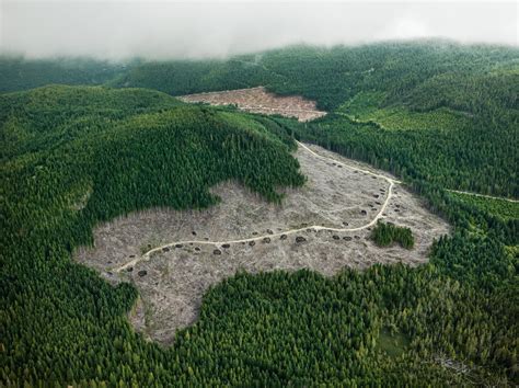 ANTHROPOCENE by Edward Burtynsky