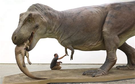 What Did SUE The T. Rex Look Like When Alive? New Field Model Shows Dino With Skin, Eyes