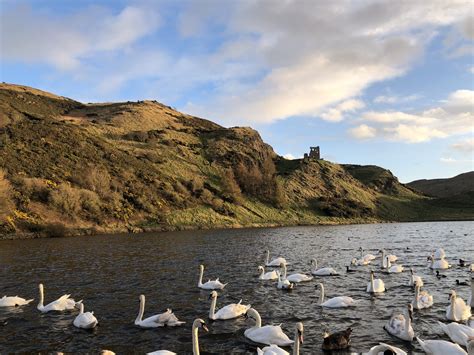 Climate change also affects the migrations of birds in the UK: there ...