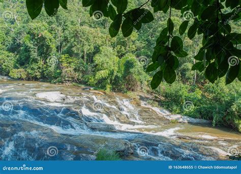 Scenery View of Waterfall in the Lush Green Forest Stock Image - Image of landscape, clean ...