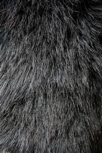 Premium Photo | Black fur texture background