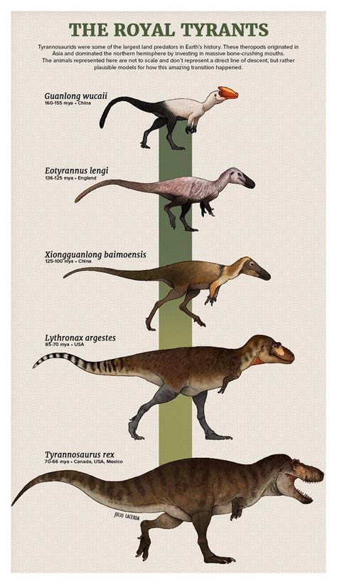 Tiranosáuridos | Prehistoric animals dinosaurs, Prehistoric animals, Prehistoric dinosaurs