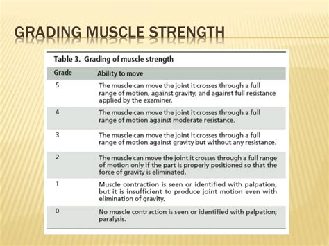 PPT - Musculoskeletal Assessment PowerPoint Presentation, free download ...