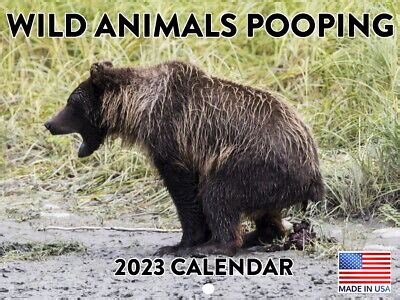 ANIMALS POOPING 2023 Wall Calendar Funny Gag Gift 18 Month Monthly Planner EUR 16,11 - PicClick DE