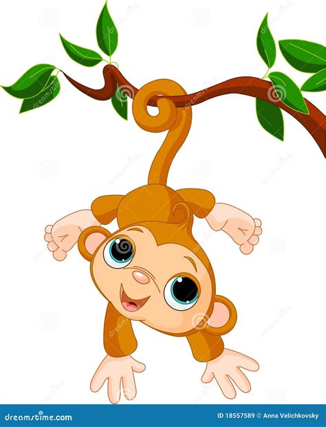 Baby Monkey On A Tree Royalty Free Stock Images - Image: 18557589