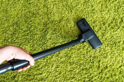 Top 8 Eco-Friendly Carpet Cleaning Techniques - How To Properly Clean Your Carpets While ...