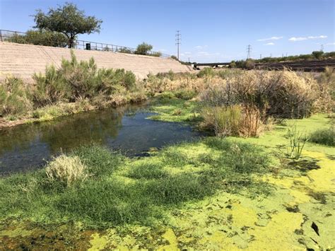 Reclaimed water is back in Santa Cruz River near downtown Tucson ...