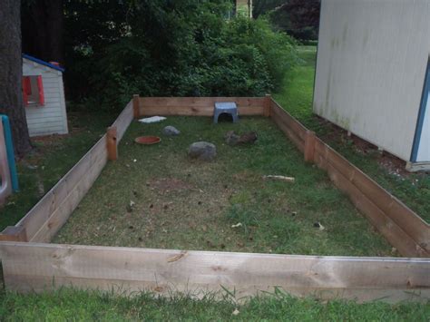 Outside enclosures | Sulcata tortoise, Tortoise pet, Tortoise habitat