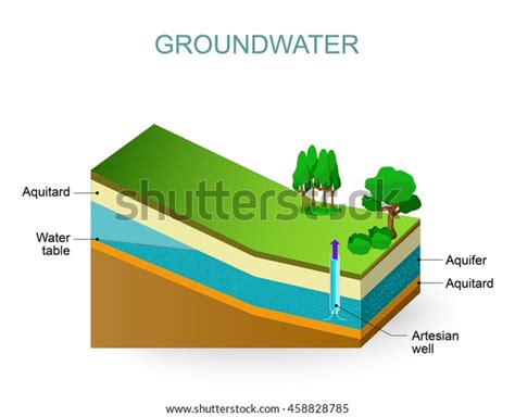 Groundwater Artesian Aquifer Water Table Stock Vector (Royalty Free ...