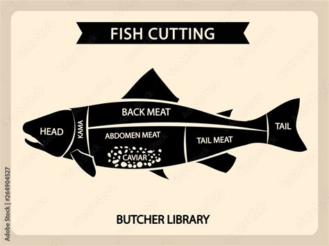 Fish meat cutting vector vintage chart, cuts guide diagram. Illustration of chart cut fish, tail ...