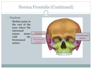 Anatomy head and neck(norma frontalis) | PPT