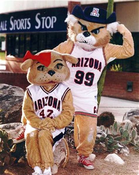 Why The University Of Arizona Has The Best Mascots In The Nation