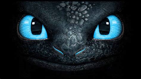 Night Fury Toothless 1024x576 Download Hd Wallpaper W - vrogue.co