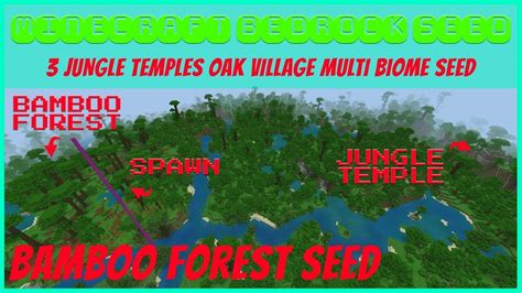 Bamboo Forest Seed Minecraft Bedrock May 2019 - YouTube