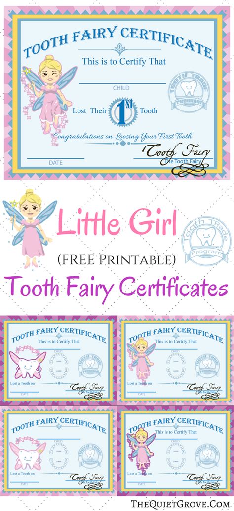 Free Printable Tooth Fairy Certificates | Tooth fairy certificate ...