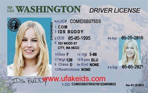 WASHINGTON | Id card template, Drivers license pictures, Drivers license