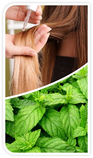 Folliboost™ Hair Growth Hair Growth Formula, Hair Growth Serum, Hair Grower, Thin Hair Updo ...