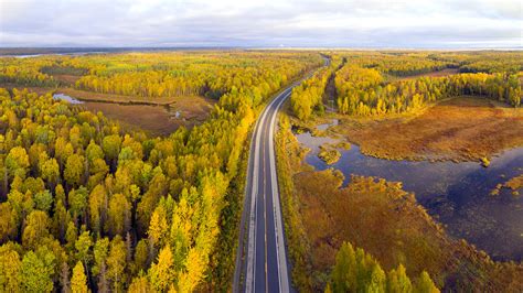 George Parks Highway in fall with the morning sun light, Denali State Park, Alaska, USA ...