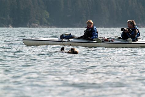 Alaska Kayak Tours, Explore Alaska by Kayak in Homer AK