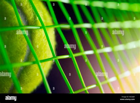 tennis ball on a tennis court, close up Stock Photo - Alamy