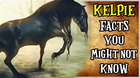 The Kelpie : Facts About The Shape Shifting Water Spirit You Might Not Know ( Scottish Folklore ...