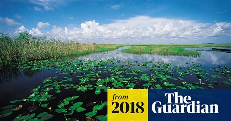 Everglades: climate change threatens years of work to reverse manmade damage | Florida | The ...