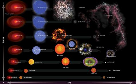 Stellar Evolution :: Phases