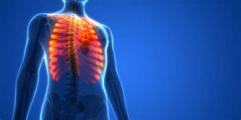 Flail Chest: Symptoms, Treatment, & More - The Orthopedic Clinic