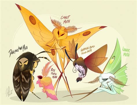 Moths by VivzMind on DeviantArt