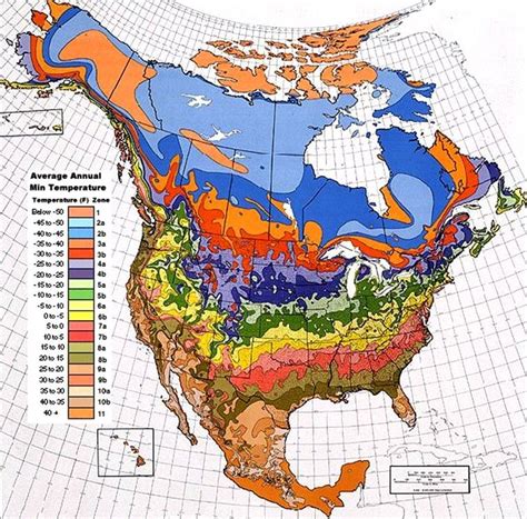 USDA Plant Hardiness Zone Map | Plant hardiness zone map, Gardening ...