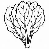 Spinach vegetable Outline coloring book Page Line Art Drawing  Premium sketch template
