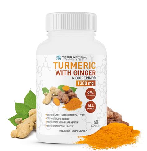 Turmeric Curcumin with Ginger & BioPerine - 60 Capsules - TerraForm ...