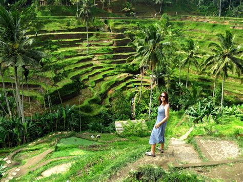 » Indonesia,-Tegallalang-Rice-Terraces-Bali