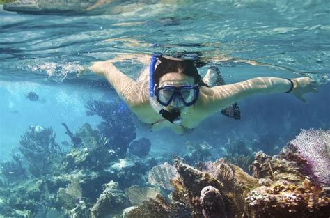 The 5 Best Snorkeling Tours In Cozumel - [2020 Reviews] | Outside Pursuits