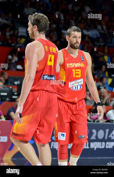 Pau and Marc Gasol. Spain Basketball National Team. World Cup 2014 Stock Photo - Alamy