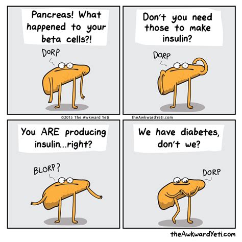 The Awkward Yeti | Dammit, Pancreas! Type 1 Diabetes occurs when the...