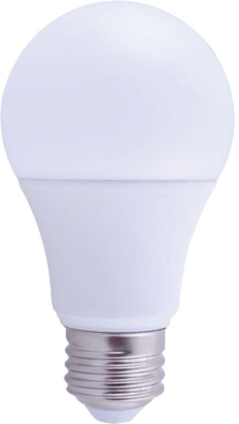 A19 BULB | Bottom Line Utility Solutions, Inc.