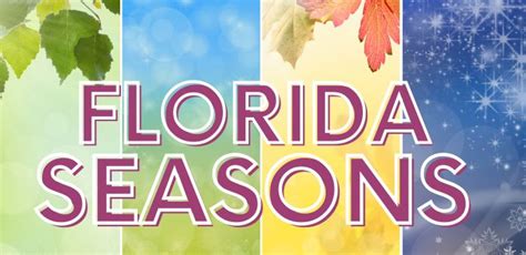 Florida Through the Seasons | Travel Hop