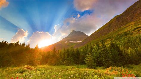 Beautiful Morning Sunrise Sonnenaufgang Trees Bäume Forest Wald Field ...